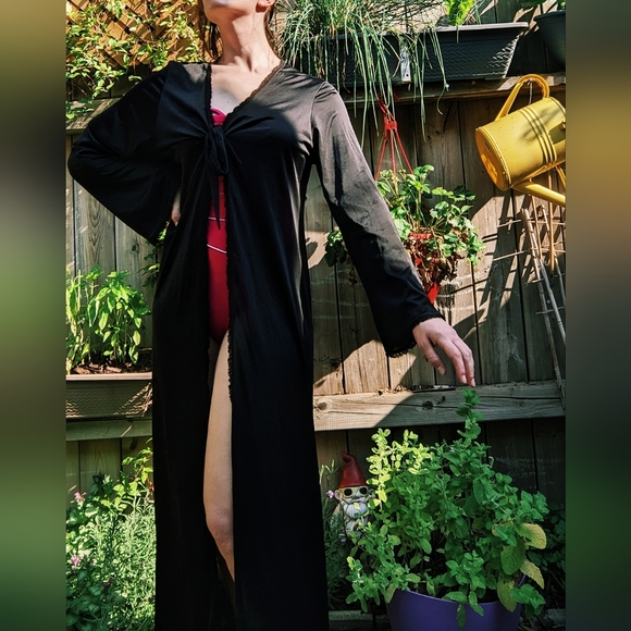 ✨ VINTAGE Witchy La Vie en Rose Robe - Picture 3 of 7